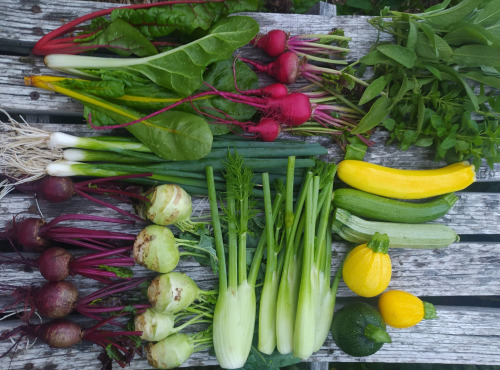 Microferme des Anges - Panier De Légumes Gastronomiques - 2kg