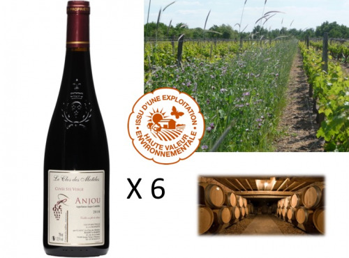 Château de Belleville Maison Baron - AOC Anjou Rouge 2019 : Cuvée Sainte-Verge (6 Bouteilles)