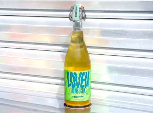 Brasserie L'Indispensable LOVEN Kombucha - Kombucha Hoppy (Houblons) - 3x75cl