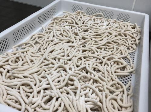 Lioravi, l'authentique pâte fraîche ! - [Précommande] Colis de Pâtes Bio Udon 4x250g