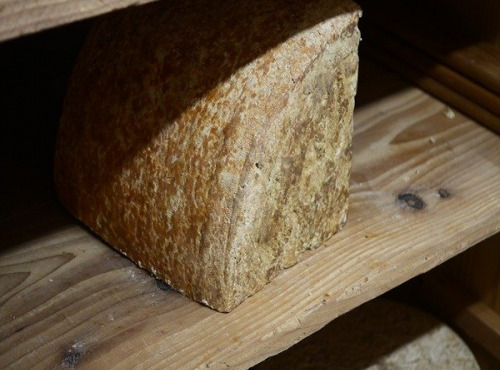 Alléosse Maitre Artisan Affineur Fromager - Salers vieux AOP au lait cru + 16 mois