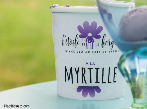 L'Etoile de la Bergère - Glace Bio Au Lait De Brebis Corse Myrtille 470 Ml