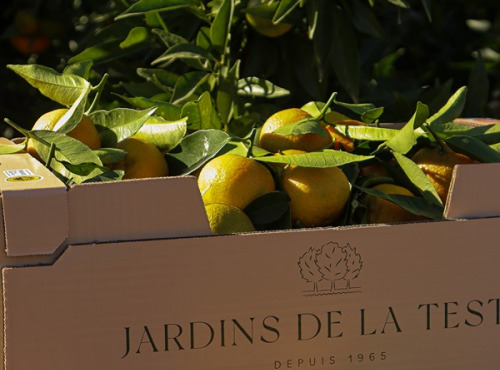 Jardins de la Testa - Clémentine de Corse IGP - 5kg