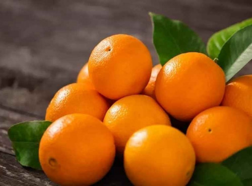 Les Jardins de Gérard - Orange sicile Bio - 1 kg x 12