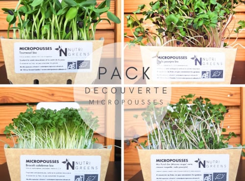 Ma Micropousse culinaire - Micro pousse Pack de découverte bio