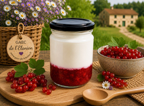 Gaec de l'Elanion - Fromage Blanc Confiture Groseille 130g