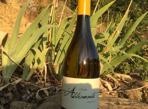 Depuis des Lustres - Comptoir Corse - Domaine de Tremica - Cuvée Abbramante blanc 2021