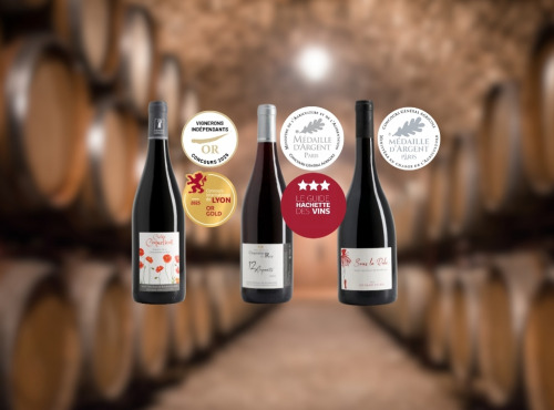 Domaine de la Chopinière du Roy - Coffret cadeau vins primés Or/Argent - bouteilles de vins rouges Saint Nicolas de Bourgueil - 3 x 75 cl