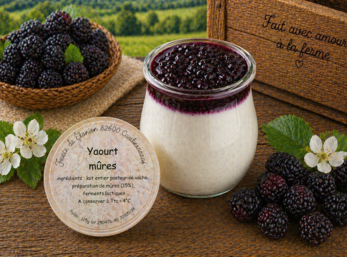 Gaec de l'Elanion - Yaourt Mûres 125g