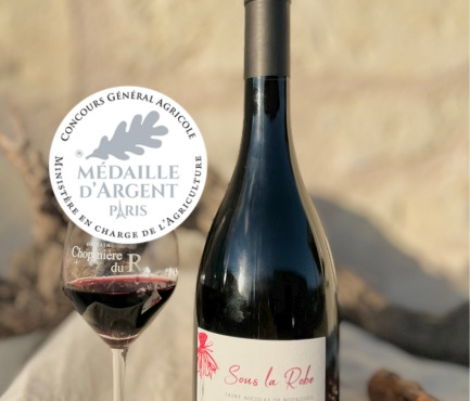 Domaine de la Chopinière du Roy - Vin rouge Saint Nicolas de Bourgueil - Cuvée Sous la Robe 2023 - 6x75cl