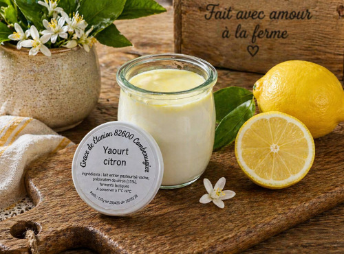 Gaec de l'Elanion - Yaourt Citron 125g