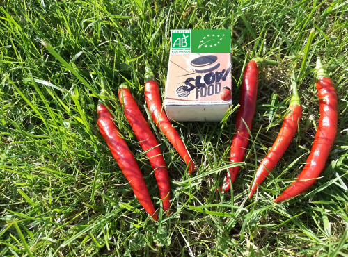 LES JARDINS DE KARINE - Piment frais rouge très fort - 50g