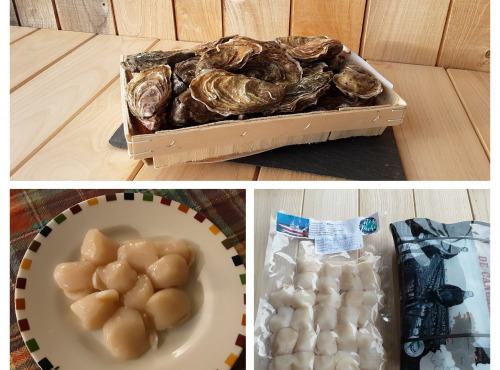 Gourmets de l'Ouest - Panier Cancalais - Saint Jacques et 24 Huitres n°4