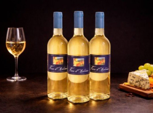 Domaine La Prune - Vin Blanc Doux Gros Manseng  - "Fleur d'Automne" - 2025 - 3 x 75cl