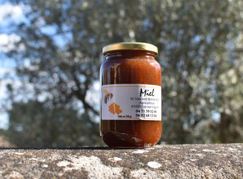 La Truite du Mézenc - Miel de Bruyère Calunne - 500g