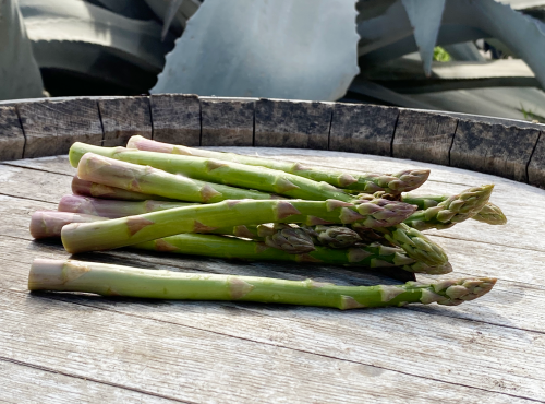 La Boite à Herbes - Botte D'asperge Verte De Provence calibre 16/22 - 500g