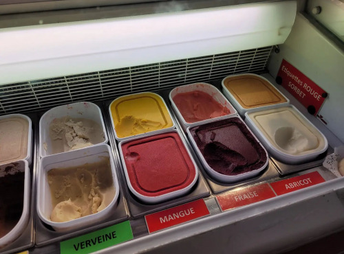 Le Jardinier Glacier - (Offre pro) 12 bacs de glaces en 2,5L