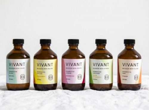 Vivant Kombucha - Coffret Découverte Kombucha Bio x12