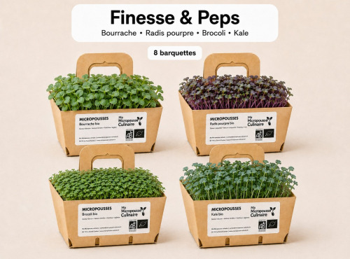 Ma Micropousse culinaire - Micro-pousses bio – Pack Finesse & Peps – Bourrache, radis, brocoli & kale – 8 barquettes