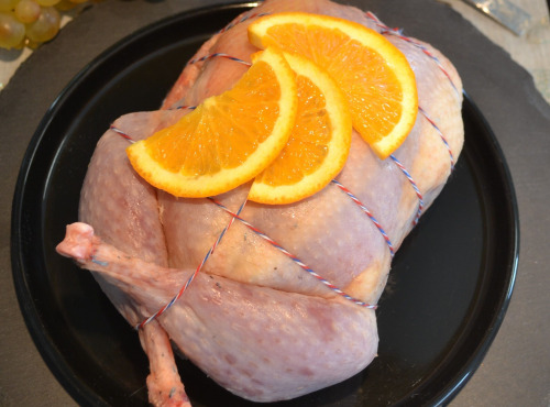 Terre de Gallie - "SPECIAL FETES" FAISAN FARCI ORANGE GINGEMBRE