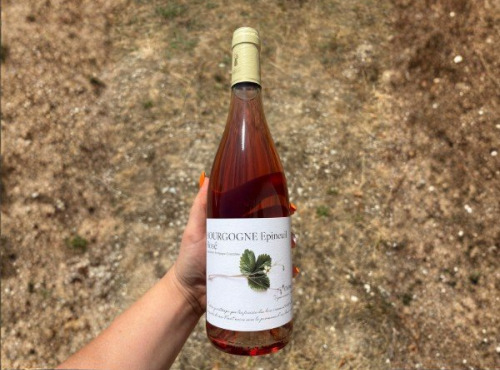 Domaine Céline Coté - Bourgogne Epineuil Rosé 2025