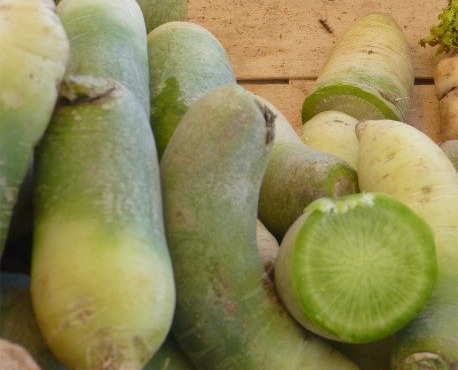 ChâteauFer - Radis d'hiver - Green Meat - Sachet 500g