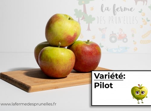 La Ferme des Prun'Elles - pomme Pilot