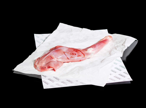 Nemrod - Epaule de Chevreuil A/OS - 2x1 Kg