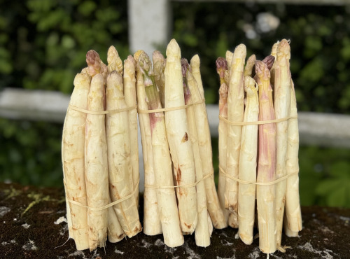 Les Asperges et Framboises du Soissonnais - Asperges second choix