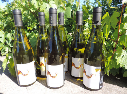 Domaine des Bourrats - Saint Pourçain AOC Blanc - Cuvée des Bergerons - 6 bouteilles