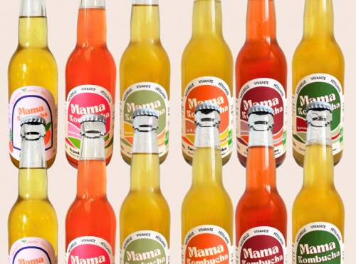 Mama Kombucha - Pack Découverte – 12 bouteilles de Kombucha artisanal bio Mama Kombucha (6 saveurs différentes)