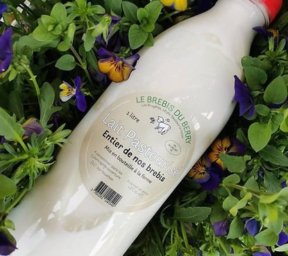SCEA Brebis du Berry - lait de brebis x12