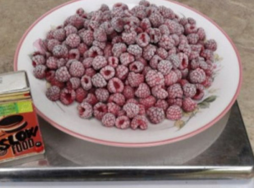 LES JARDINS DE KARINE - Framboise surgelée - 500g