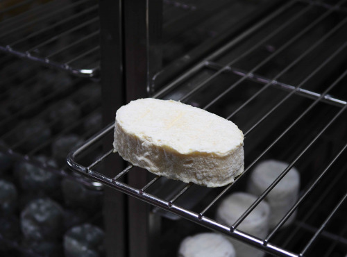 Alléosse Maitre Artisan Affineur Fromager - Chevrette du Poitou au lait cru