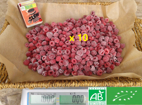 LES JARDINS DE KARINE - Framboise surgelée -10kg