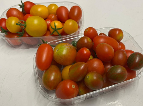 Maison du Pruneau - Cueillette du Gascon - Barquette de tomates cerises en mélange de 500gr