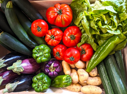 Ferme Joos - Panier de légumes d'été 10 kg