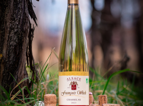 Domaine François WECK et fils - Chasselas 2023 - 75cl x 3