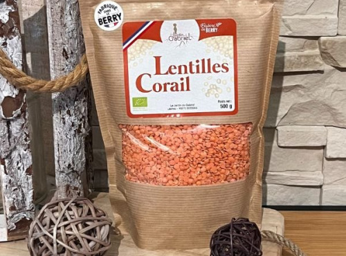 Les Graines de Louise - Lentilles corail sachet 500gr (lot de 12)