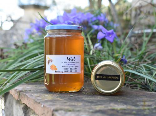La Truite du Mézenc - Miel de Lavande liquide - 1kg