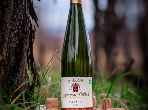 Domaine François WECK et fils - FOIRE AUX VINS : Sylvaner 2023 - 75cl x6