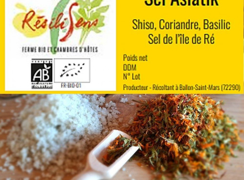 Résilisens - Sel'Asiatik