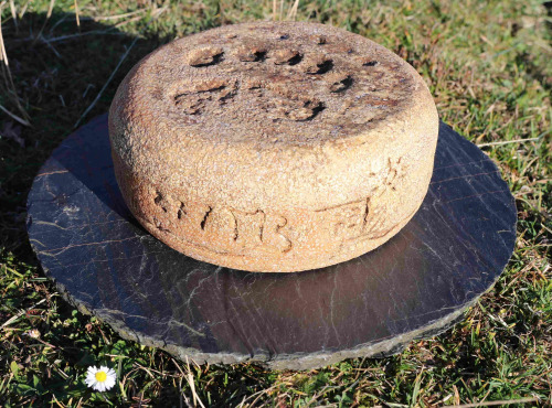 Maxime Bajas – Ferme De L’Aouda - Fromage de brebis PéDescaous –  Bergerie 5 mois – tomme entière 4,5kg