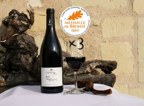 Domaine de la Chopinière du Roy - Lot de 3 Bouteilles de vin rouge Saint Nicolas de Bourgueil cuvée 12 Arpents 2024 - 3 x 75 cl