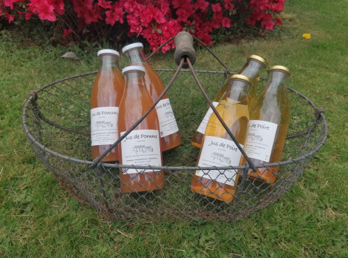 Domaine Fourmond Lemorton - Mix 3 Jus de Pomme 3 Jus de Poire BIO