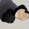 Ferme de Pourcier - Truffe Fraîche - Truffe d'été 500g
