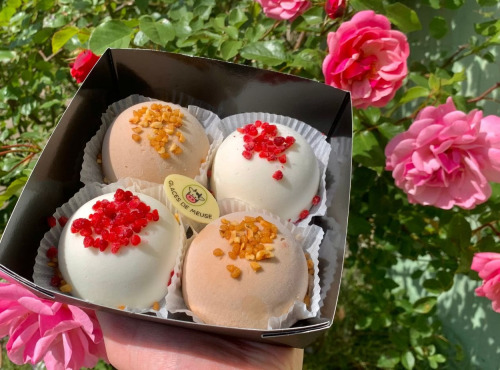 Glaces de Meuse - Noisette & Noix de Coco - Dômes glacés x 4