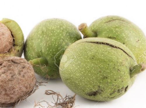 L'OLIVERAIE DU COUDON - NOIX FRAICHE  avec leur brou vert, pour faire du vin de noix ou des confitures 5KG