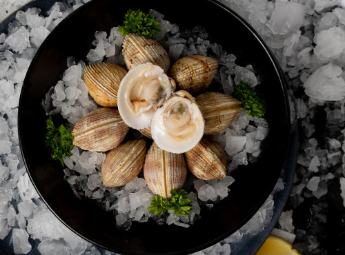 Pêcherie Granvillaise - Praires de la baie de Granville 700g