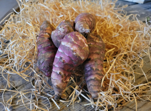 Les Jardins de Gérard - Topinambour - 1kg